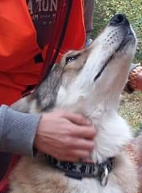 FB_IMG_1540117379676