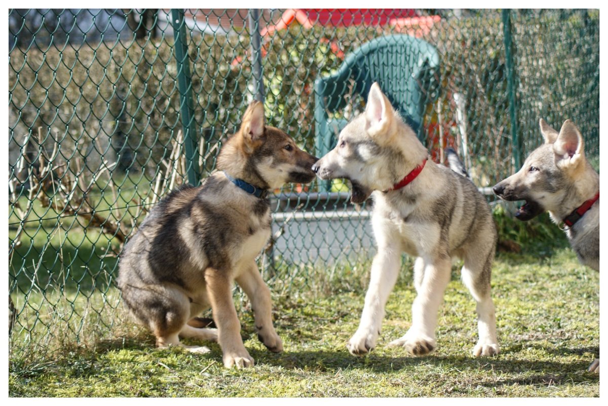 28238627_10216379700544143_7964269393429001613_o