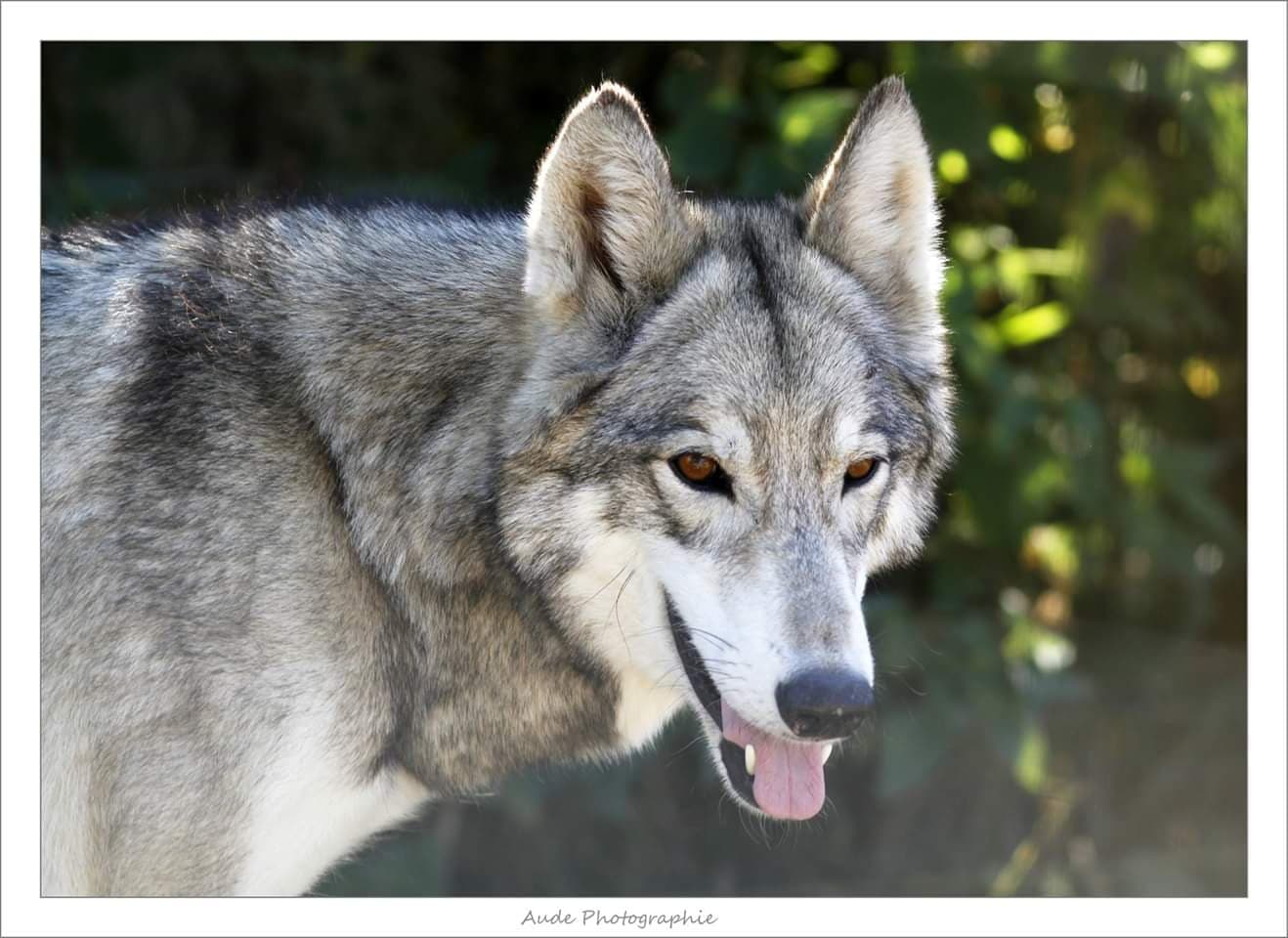 69212684_448106472704734_6040385126842499072_n