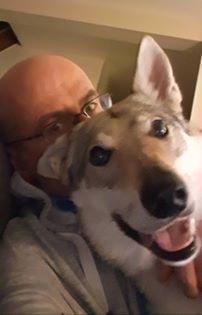 chien-loup tchécoslovaque heureux