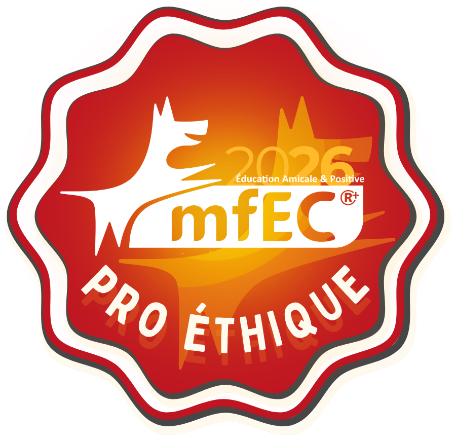 referencement pro ethique bienveillant MFEC
