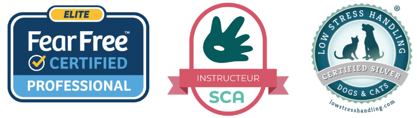 certification medical training