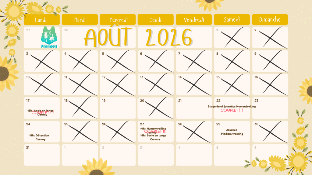 activites collective aout 2026