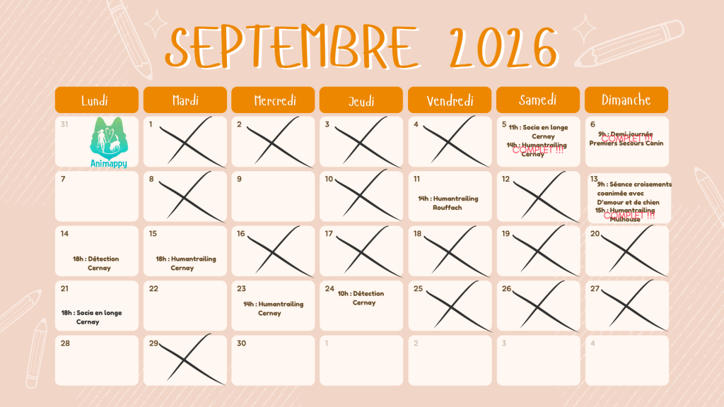 activite collectives canines septembre, mantrailing, nosework, caniinvestigation, balades sociales